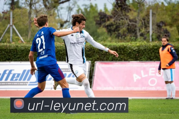 乐鱼体育发展历程